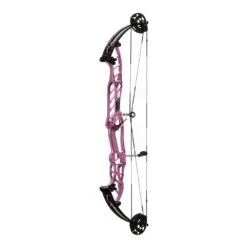 Hoyt Stratos 40 HBT Compound Bows 2024 -The Longbow Shop 40hbtstardust 1