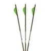 Gold Tip Warrior Arrows - With Vanes -The Longbow Shop 815416 1