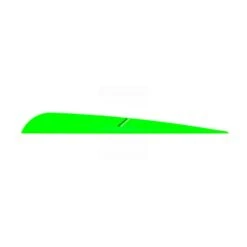 AAE Arizona Trad-50 Vanes - 4.75" -The Longbow Shop 838693 1