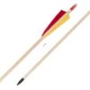 Buck Trail Standard Spruce Arrows -The Longbow Shop 842090 2