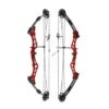 Core Zeal Compound Bow -The Longbow Shop COR002 2