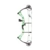 Diamond Prism Compound Package -The Longbow Shop DIA008