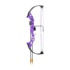Bear Brave 3 Compound Bow -The Longbow Shop bear brave purple 1
