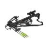 Bear Domain 410 Crossbow -The Longbow Shop domain 1