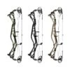 Sanlida Dragon 10 Compound Bow -The Longbow Shop dragon10group