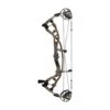 Hoyt Carbon RX Twin Turbo Compound Bow - Mod 3 -The Longbow Shop rx twin turbo buckskin 3 1